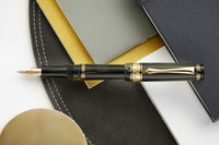 Nettuno Superba Celluloid Fountain Pen