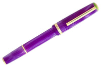 Esterbrook JR Pocket Fountain Pen - Purple Passion