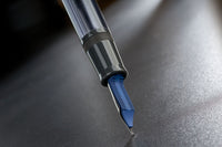 Delta Prestige Limited Edition Fountain Pen