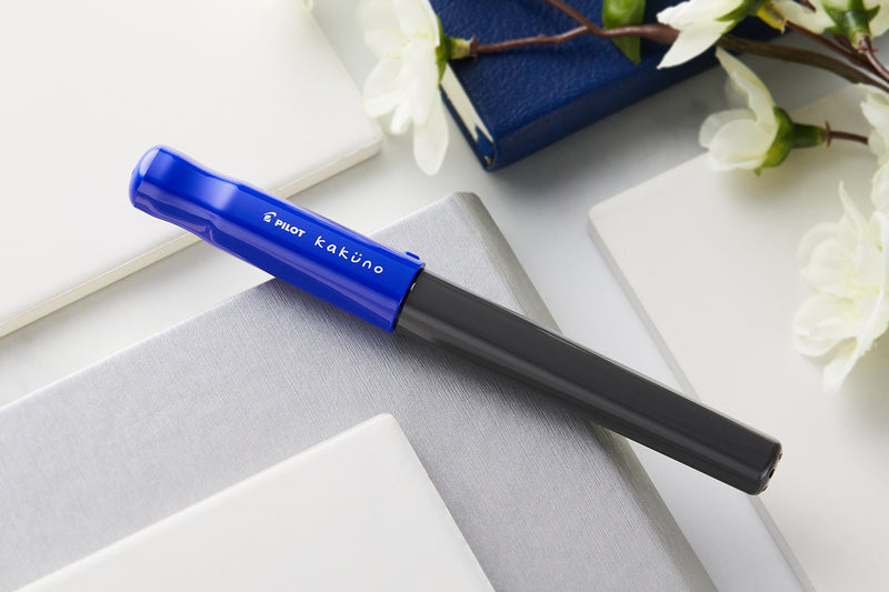 Pilot Kakuno Fountain Pen - Blue/Gray