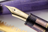 Sailor 1911L Pen of the Year Fountain Pen - Grape Expectations