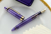 Sailor 1911S Pen of the Year Fountain Pen - Grape Expectations