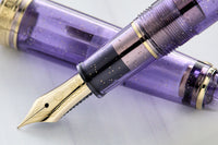 Sailor 1911S Pen of the Year Fountain Pen - Grape Expectations