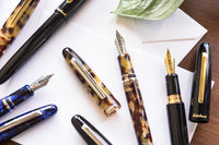 Esterbrook Estie Fountain Pen - Tortoise/Gold