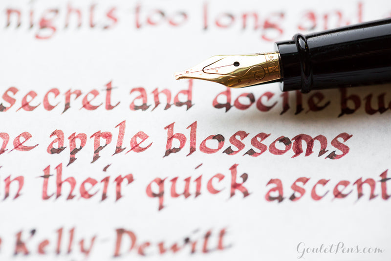 Robert Oster Astorquiza Rot - Ink Sample