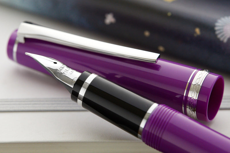 Pilot Falcon Fountain Pen - Purple