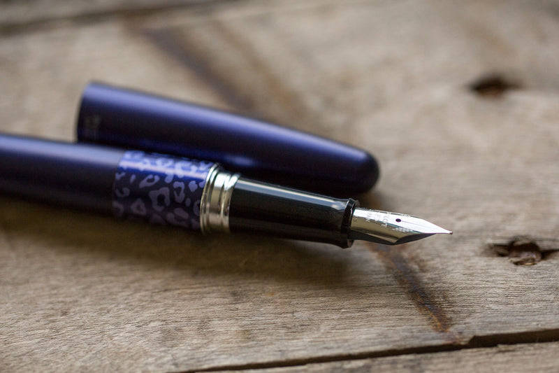 Pilot Metropolitan Fountain Pen - Violet Leopard