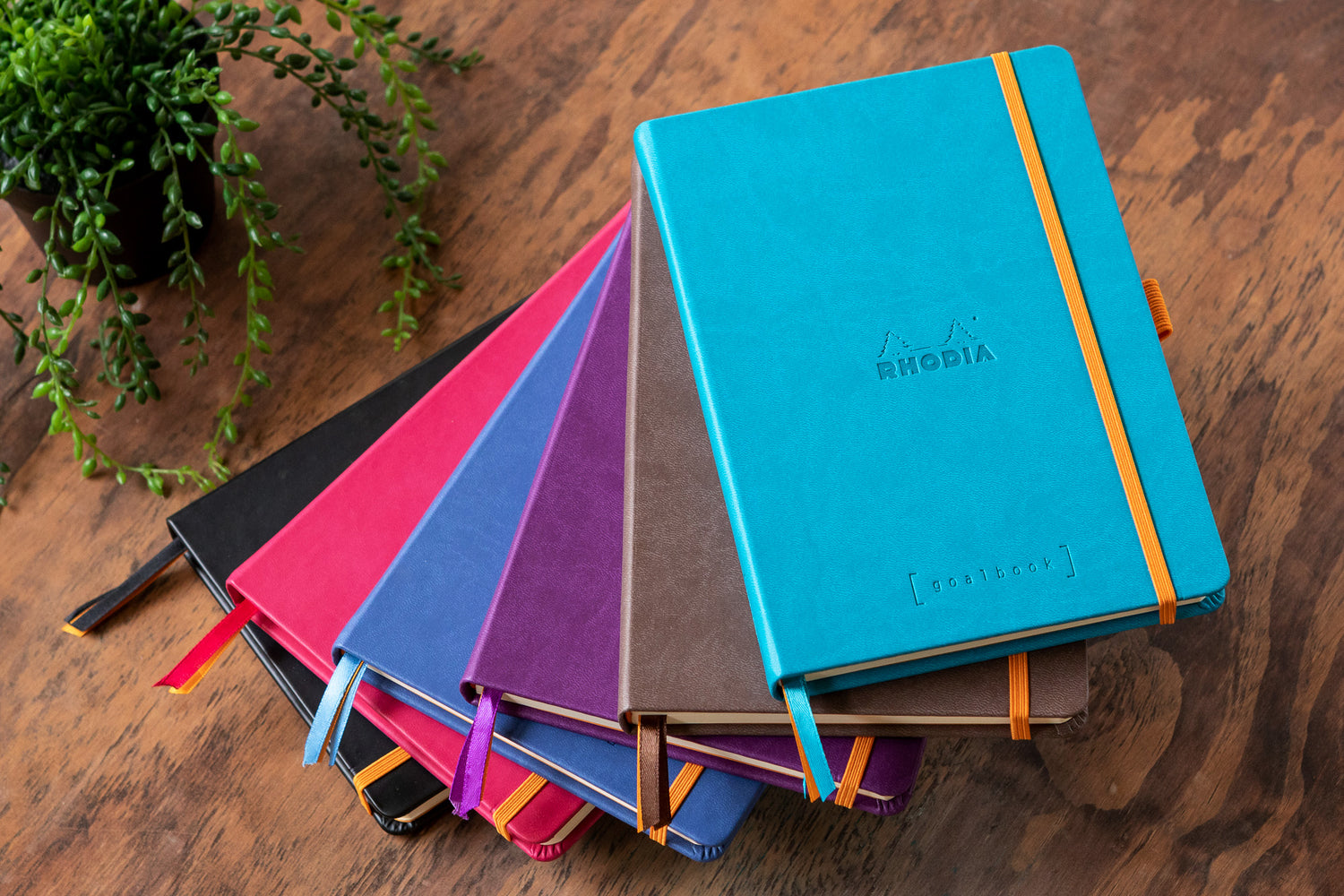 Carnet A5 Pointillés 240p numérotées GoalBook Rhodia Violet - Carnet  d'écriture - Creavea